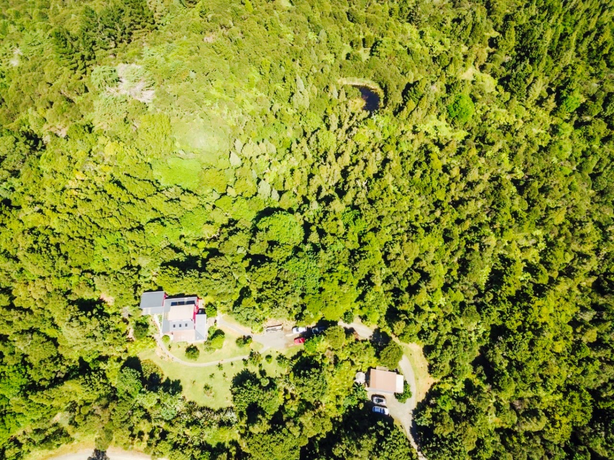 Photo of property: Native bush.