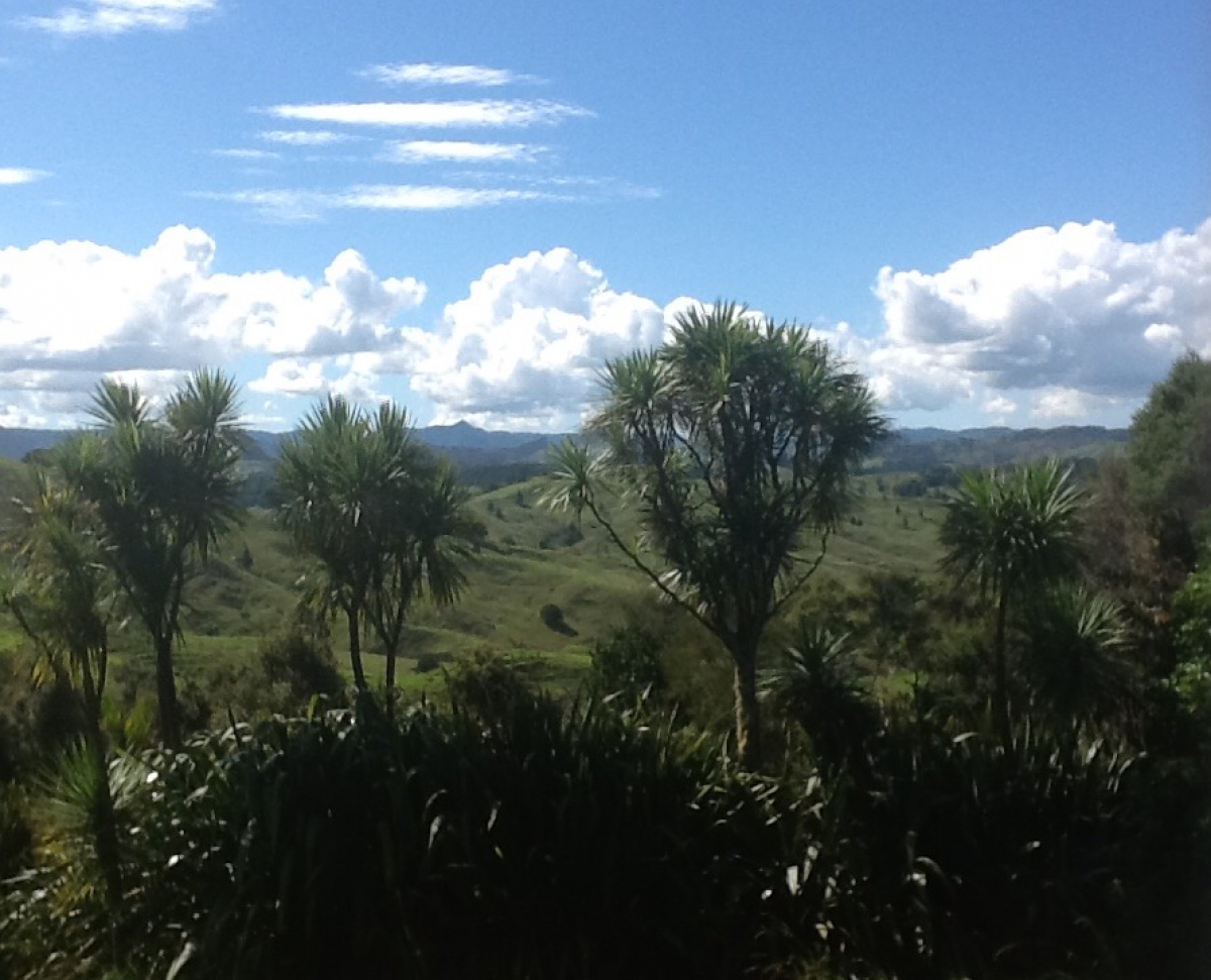 Photo of property: View from the veranda.