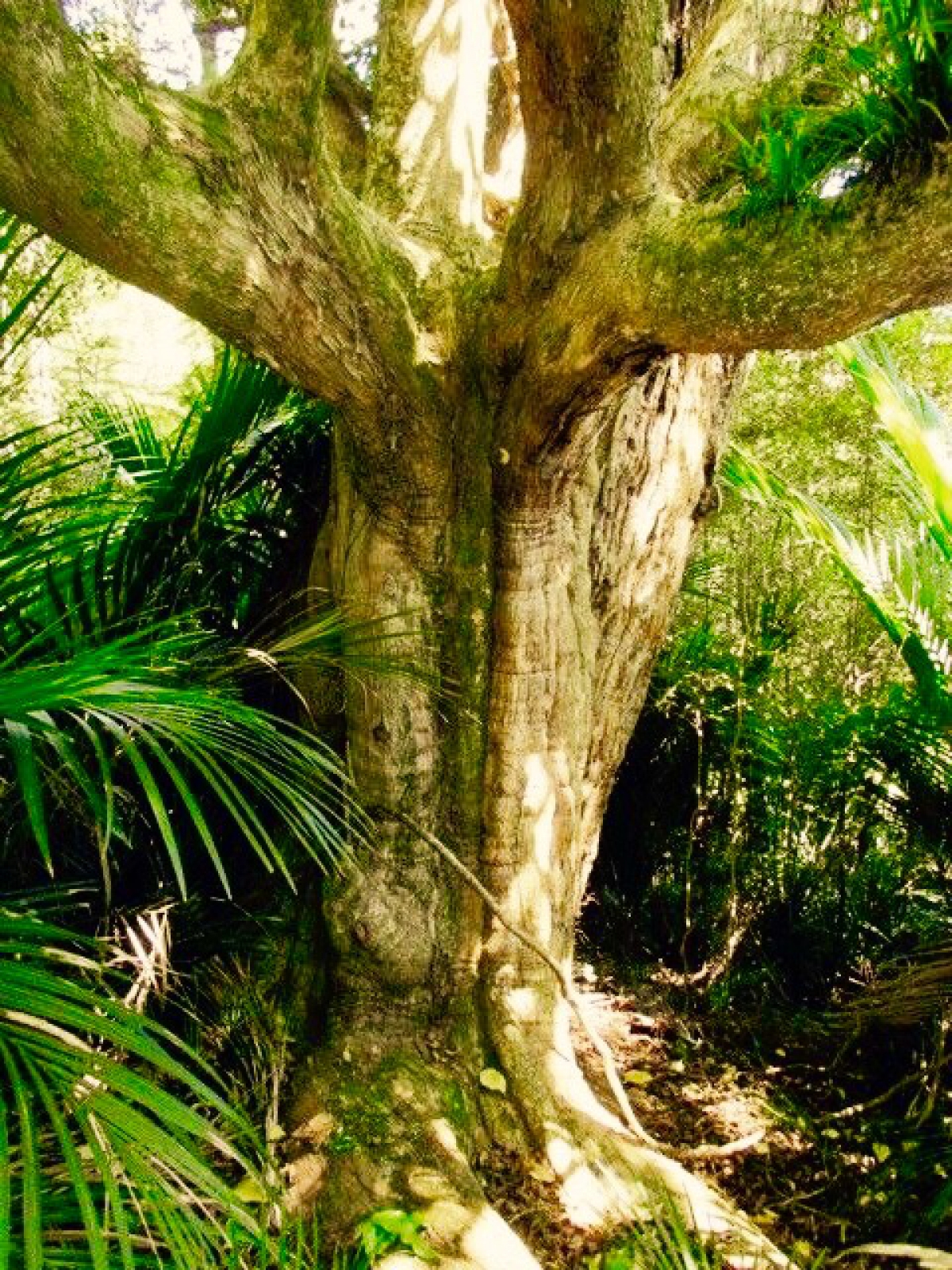 Photo of property: Against Puriron on the walking  trail.