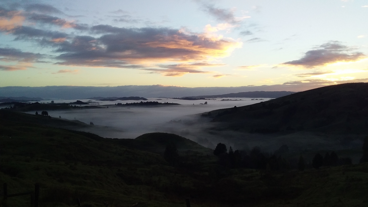 Photo of property: Evening light.