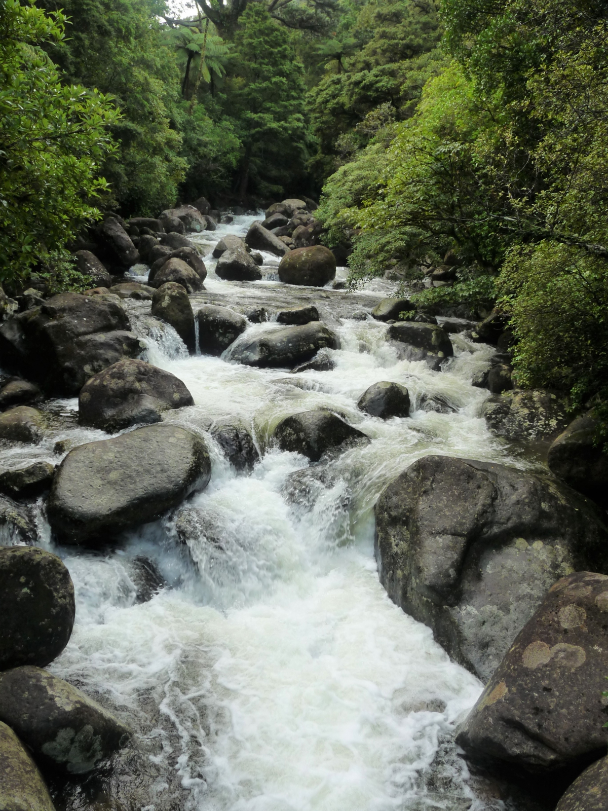 Photo of property: Wairere Stream