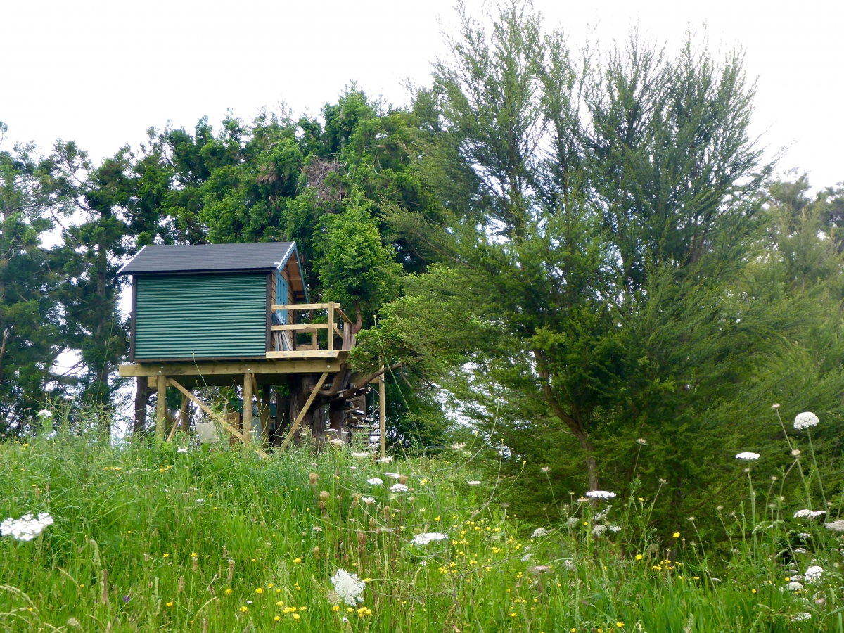 Photo of property: Side view of Treehouse