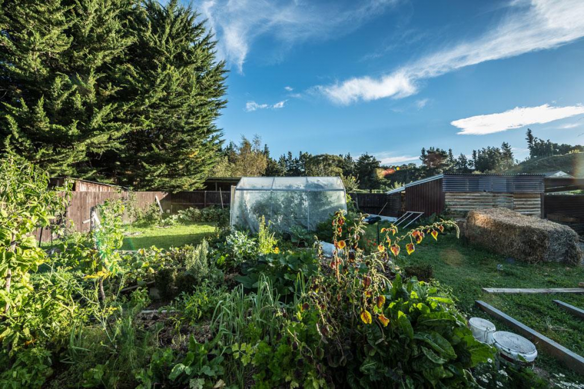 Photo of property: organic veggie garden