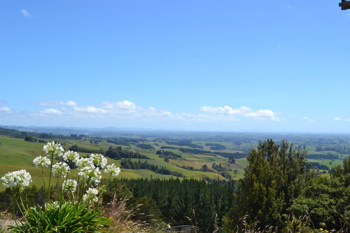 Photo of property: Lookout of the Waikato Valley