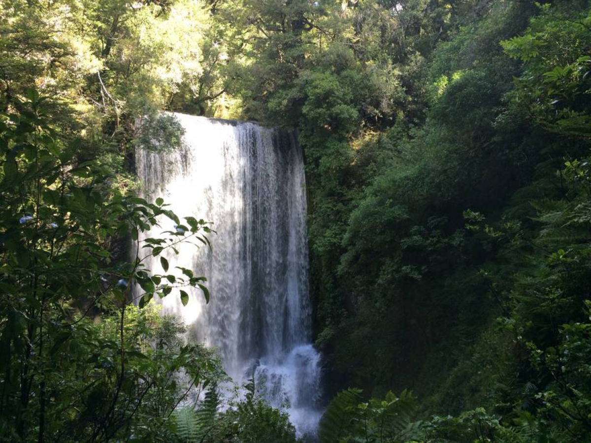 Photo of property: Koro Koro falls, Waikeremoana