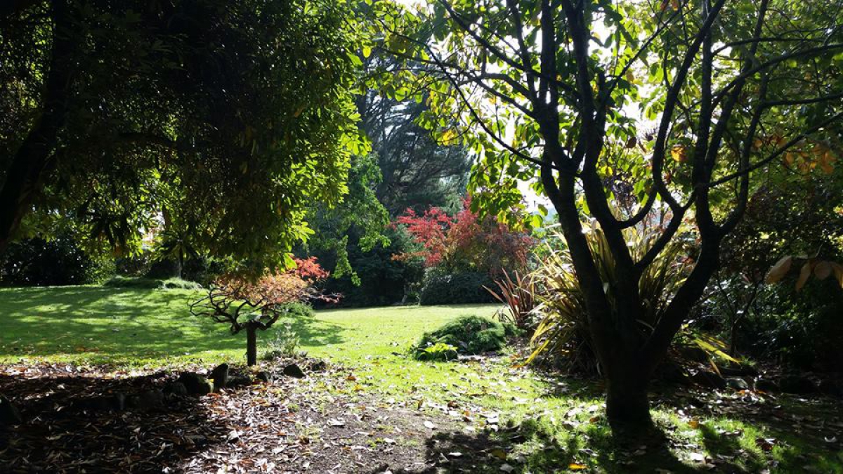 Photo of property: garden
