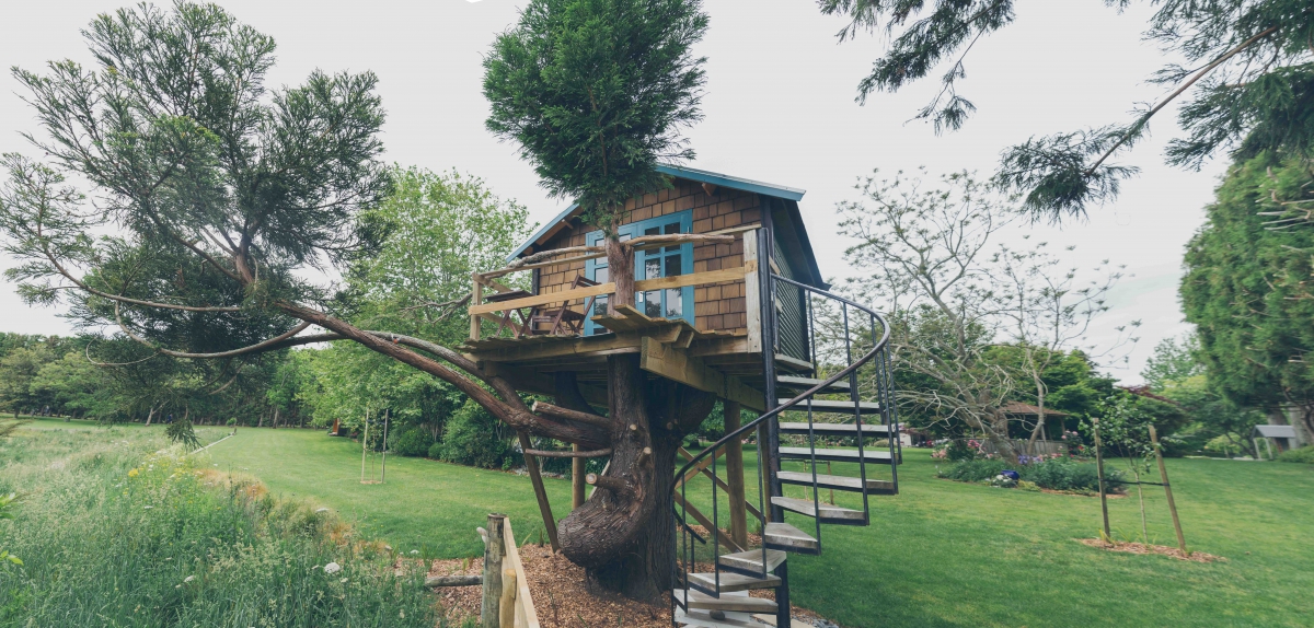 Photo of property: Treehouse