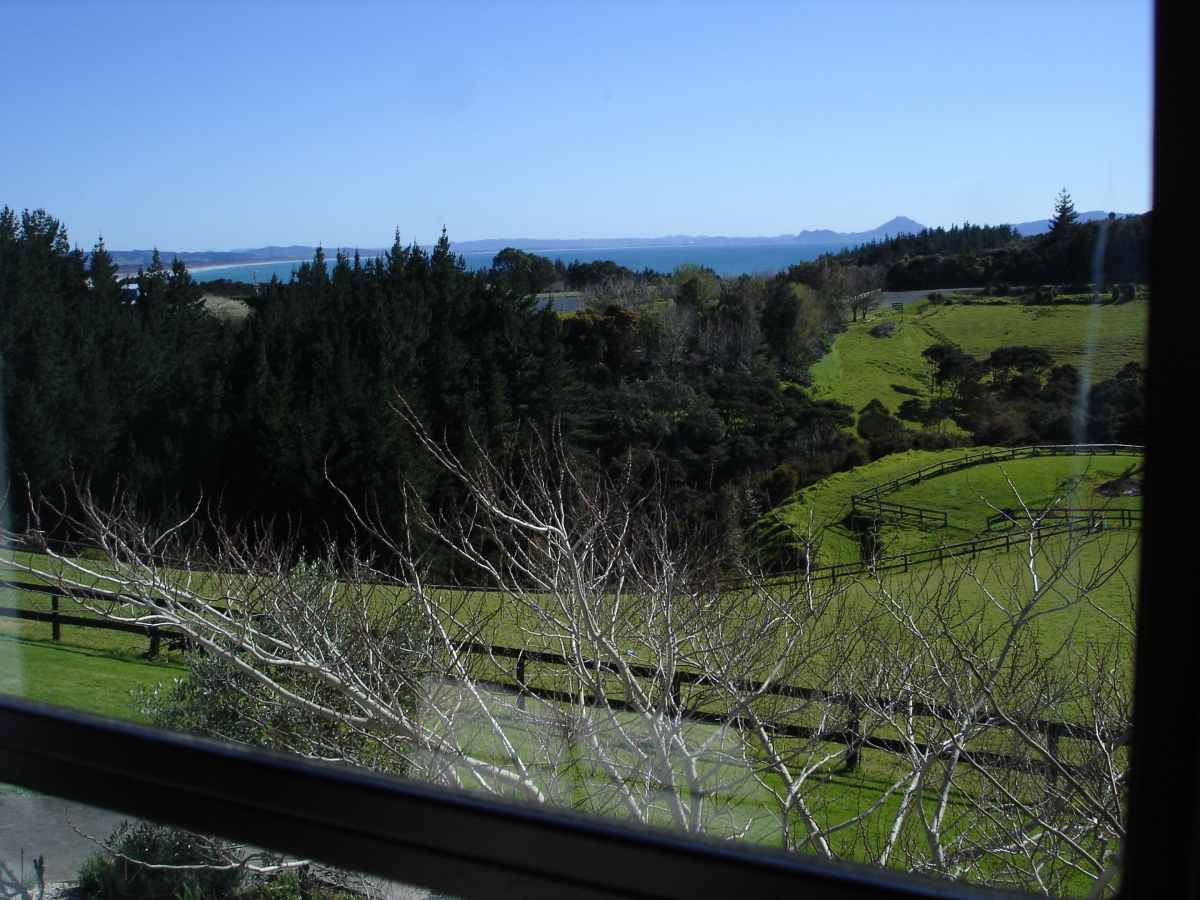 Photo of property: Tui Suite View