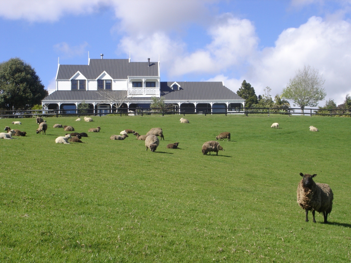 Photo of property: Country Homestead at Black Sheep Farm