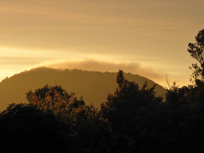 Photo of property: View of Maungatapere volcano