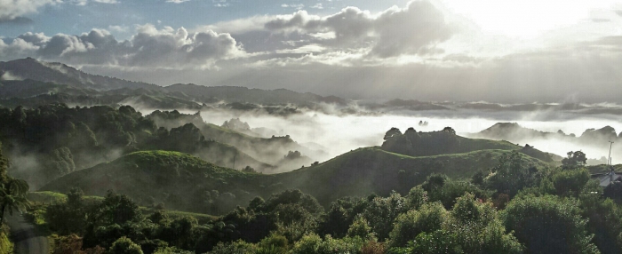 Photo of property: Misty Mountains