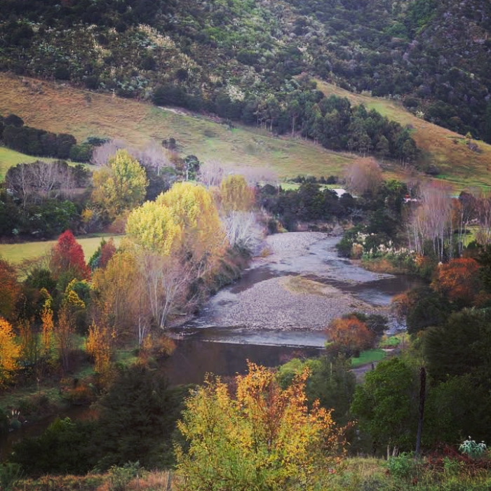 Photo of property: Autumn in the valley