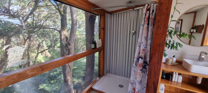 Photo of property: shower view