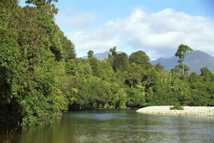 Photo of property: Totara River boardering the property...