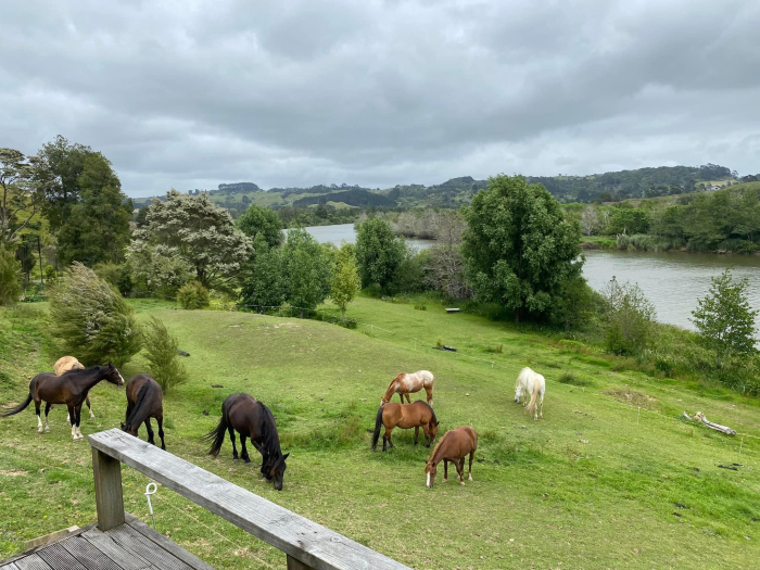 Photo of property: View from the Farm Shack's deck