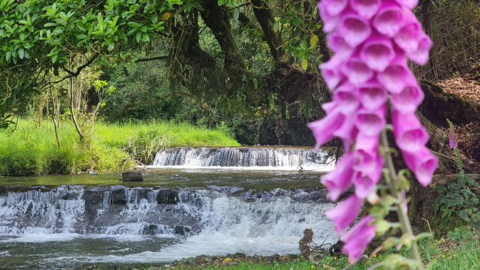 Photo of property: Tiered waterfall at Waitomo Riverside Cabin