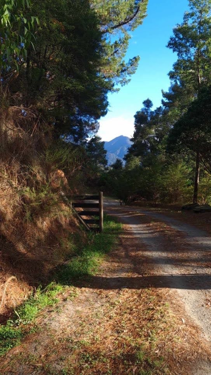 Photo of property: Driveway leading away from TinyHome