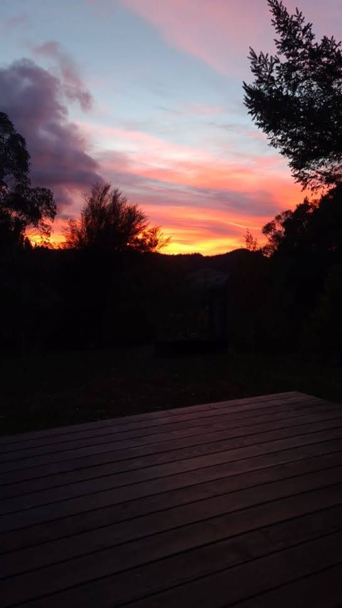 Photo of property: 