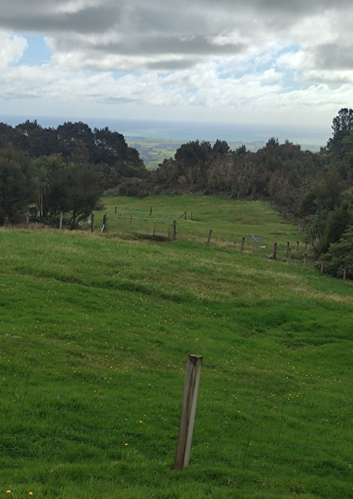 Photo of property: The view