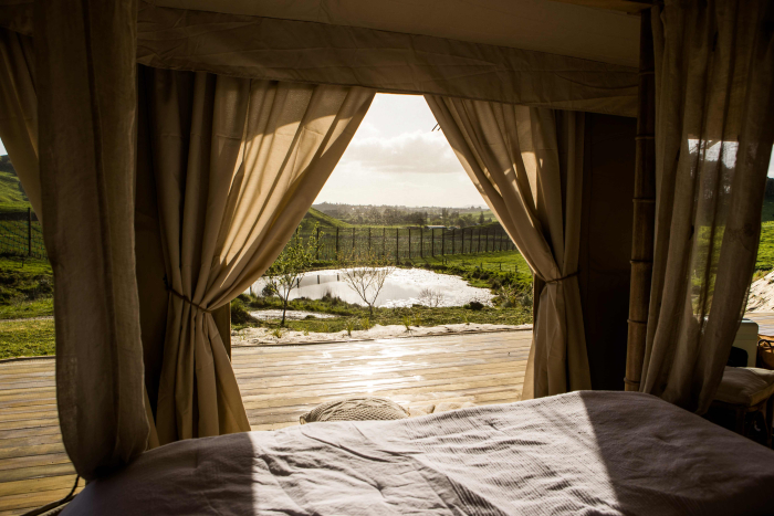 Photo of property: 