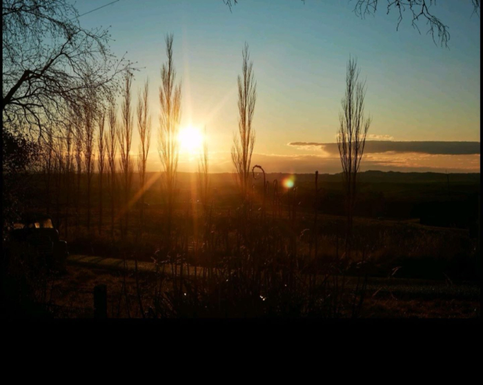 Photo of property: Sunrise