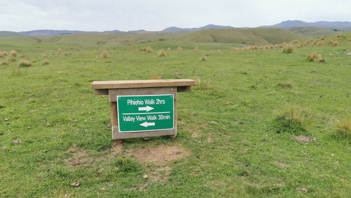 Photo of property: Walk Sign