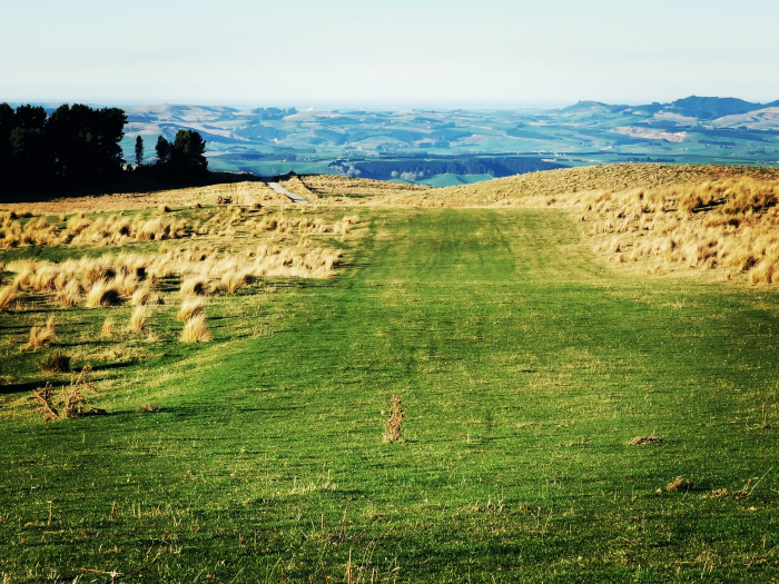 Photo of property: Walk