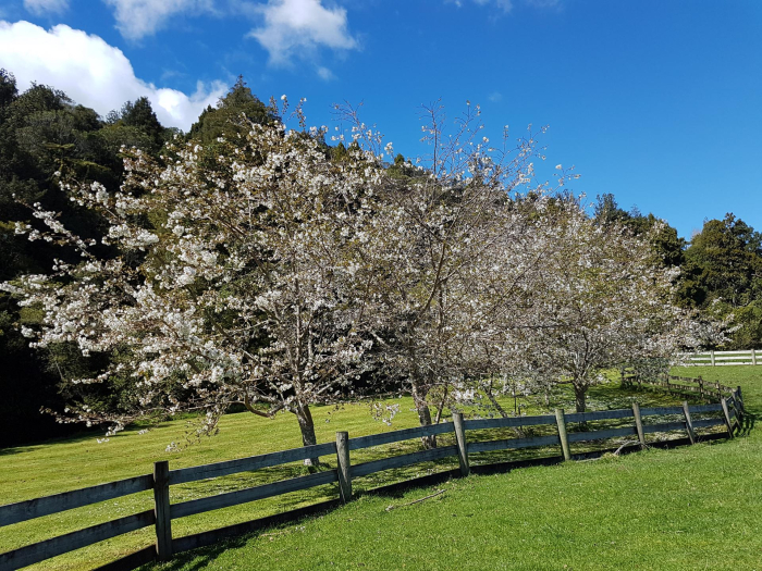Photo of property: Land