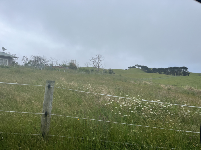 Photo of property: Horse Grazing (Spring)
