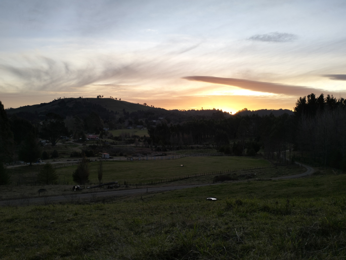 Photo of property: View over parking