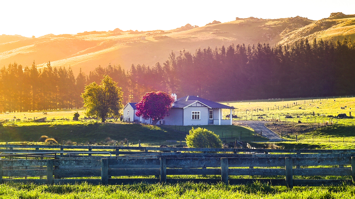 Photo of property: The Nenthorn Farmhouse