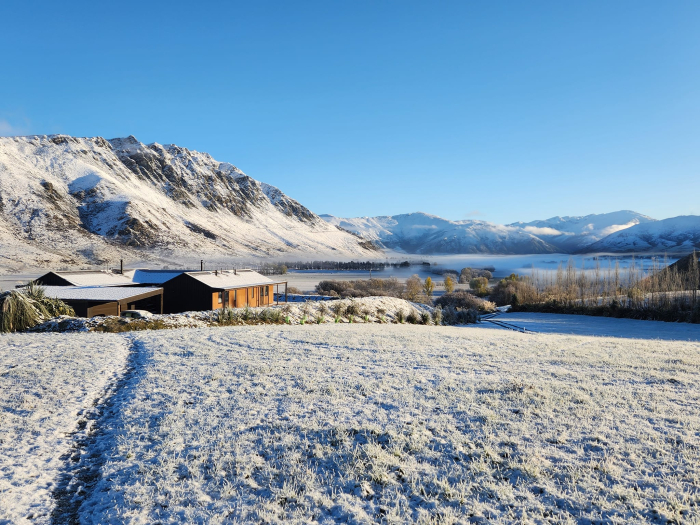 Photo of property: snow day