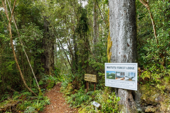Photo of property: The forest walk