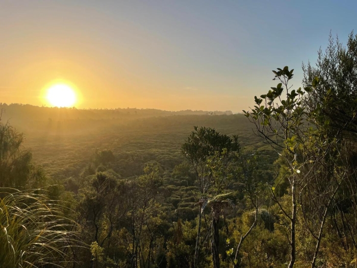 Photo of property: Your views over the Totara valley
