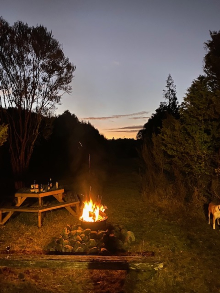Photo of property: 