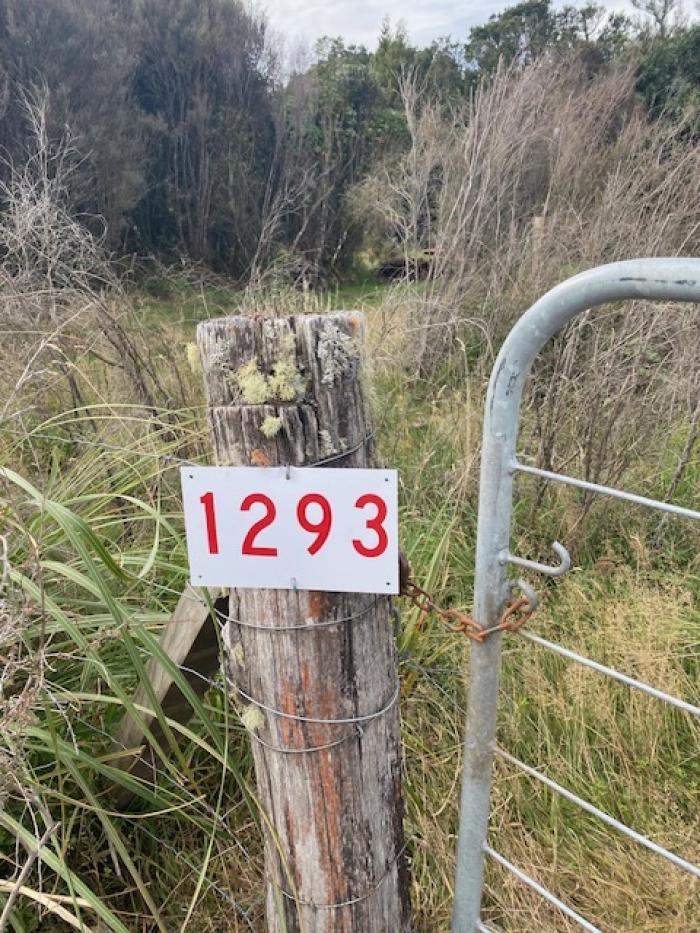 Photo of property: 
