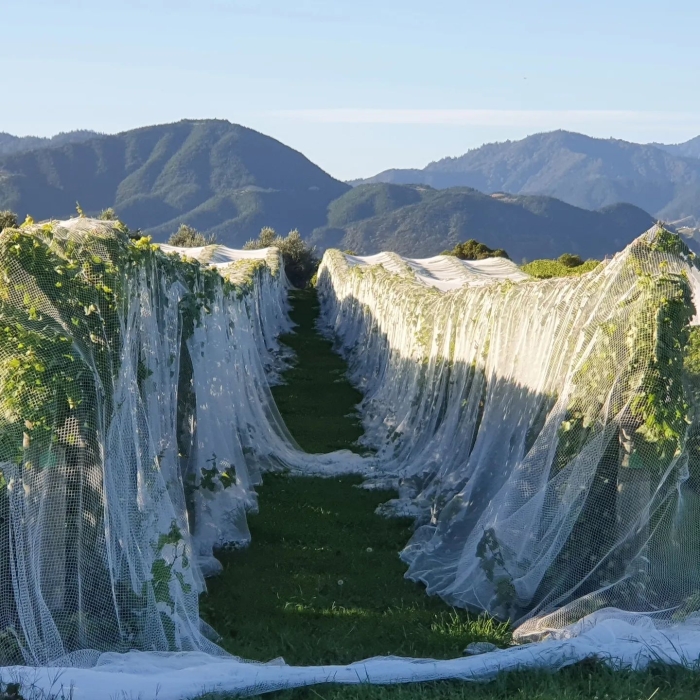 Photo of property: nets