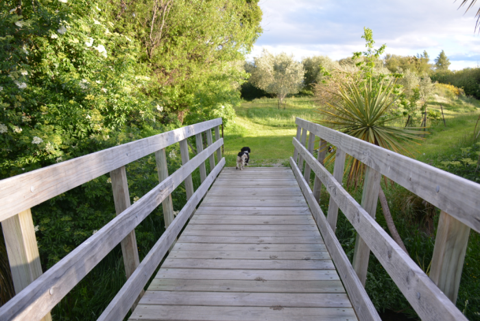 Photo of property: Take a walk around the vineyard, olive grove and wetlands