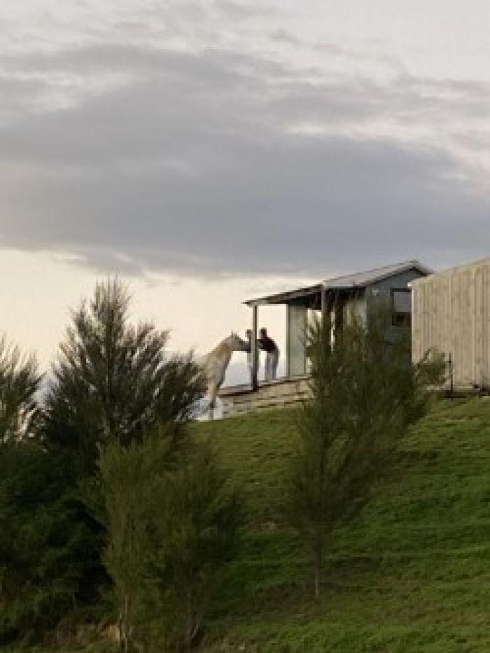 Photo of property: 
