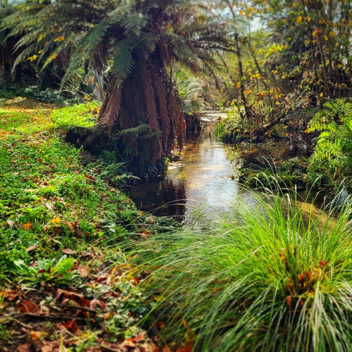 Photo of property: The stream