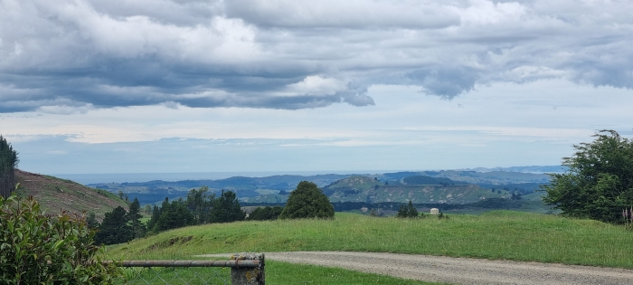 Photo of property: View