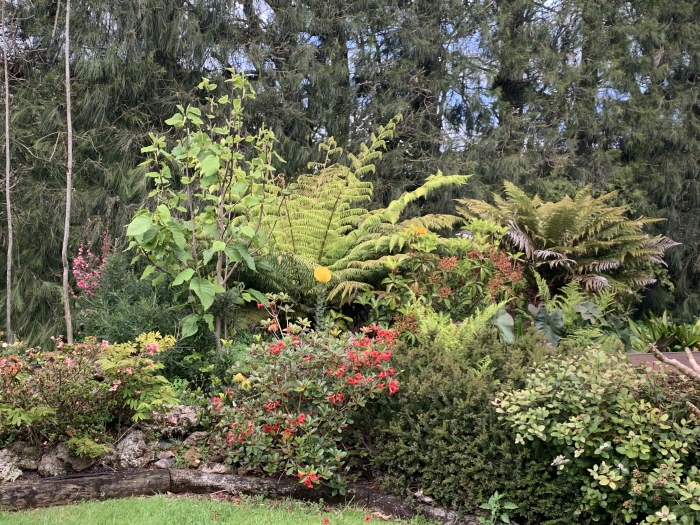 Photo of property: Front garden area.