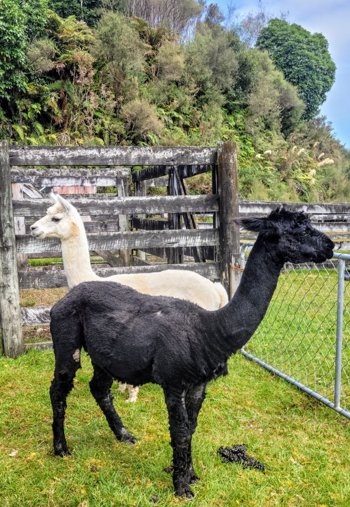 Photo of property: Carlos and George