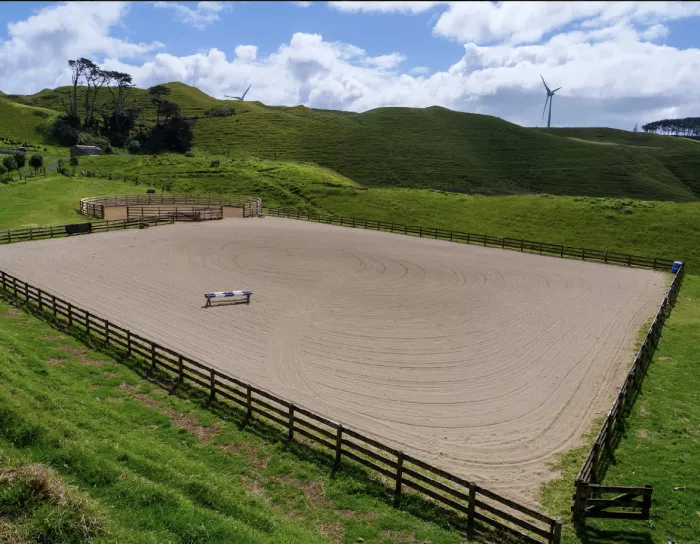Photo of property: Arena