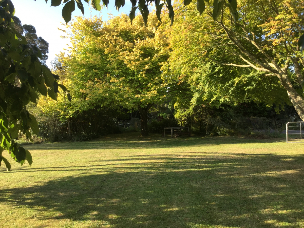 Photo of property: camp site