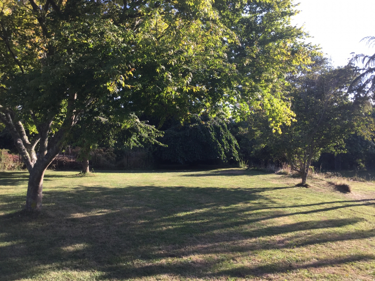 Photo of property: camp site