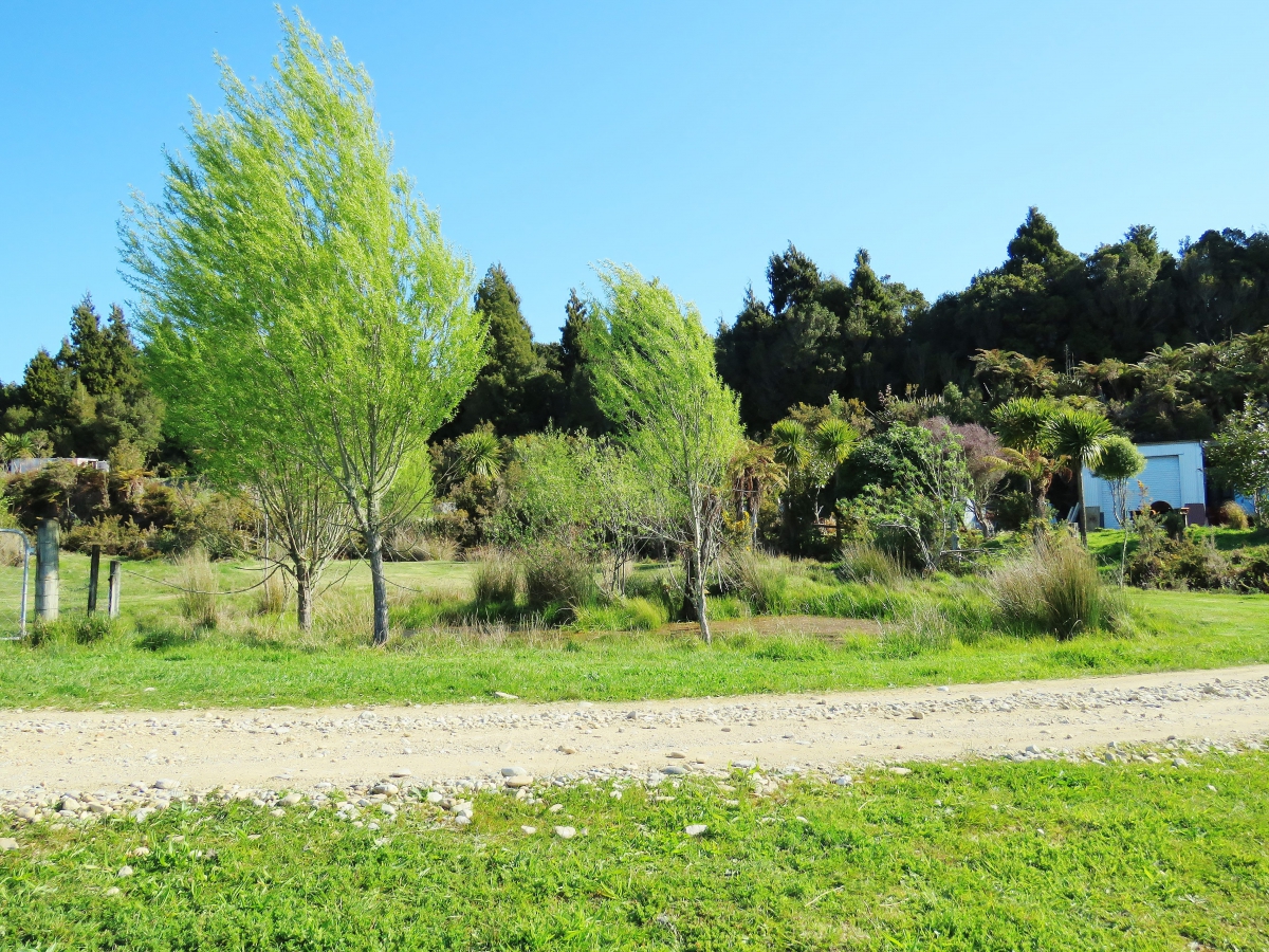Photo of property: Pond area near camp site