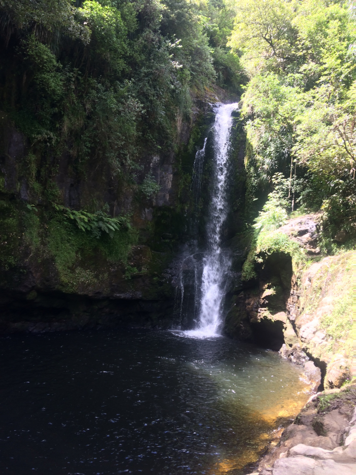Photo of property: kaiate falls