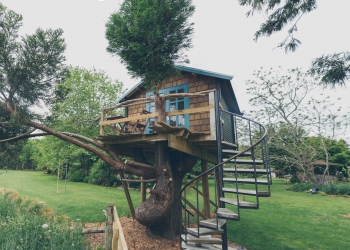 Tranquil Treehouse