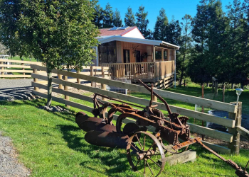 The Cabin